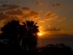 sunset behind palms 