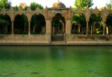 	urfa the lake with holy fish          turkey - urfa, lake, turkey, holy, fish