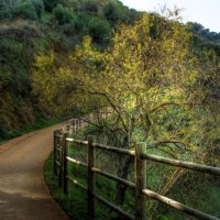 nice path in mountains