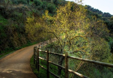 nice path in mountains - path, mountains, nice