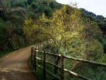 nice path in mountains