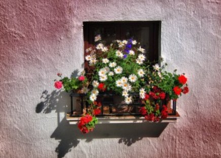 	balcon de flores - flowers, balcony