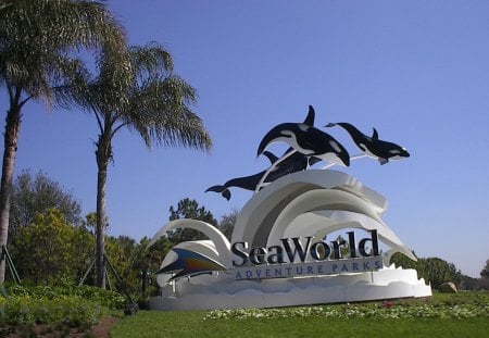 sea world