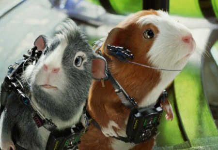 G-FORCE - movie, guinea pig