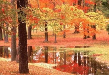 Autumn Reflection - lake, autumn leaves, trees, reflection