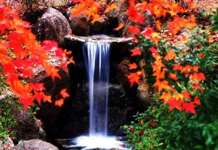 The Beauty of Autumn - autumn leaves, pond, waterfall, rocks