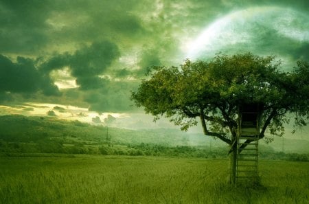 Tree House - field, green toned, tree house