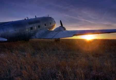 DC3 dakota at sunset - field, plane, sunset, vintage