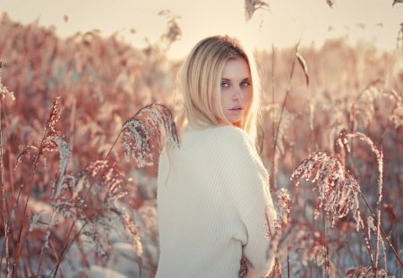 blonde girl - sunlight, field, plant, back look, sky