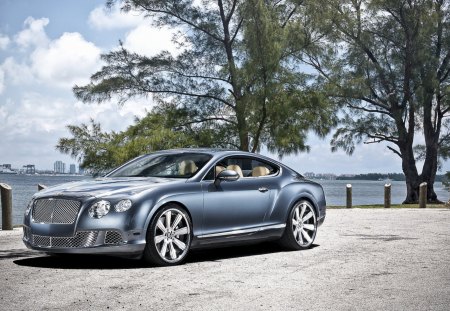 bentley by the bay hdr - bay, tree, car, hdr