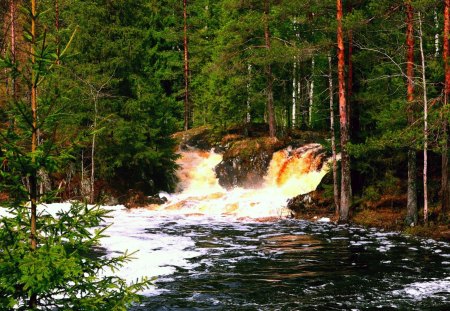 FOREST FALLS - nature, falls, forest, river