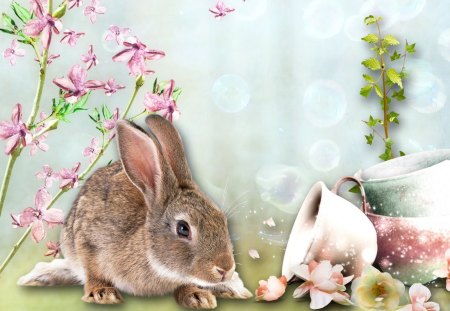 Stop and Smell The Flowers - summer, cute, flowers, spring, cup, country, rabbit, tea, coffee, bunny, whimsical