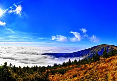 MOUNTAIN CLOUDS - clouds, Giant Mountains National Park, forest, mountain, sun, Czech Republic