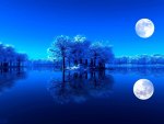 MOONLIGHT REFLECTION