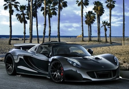 hennessey at the beach - trees, car, convertible, beach