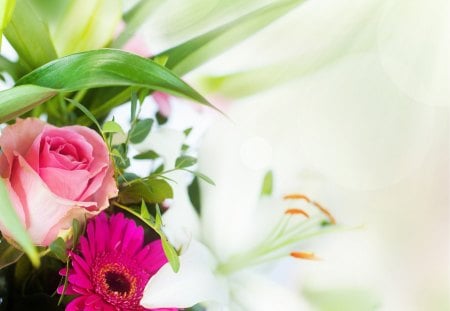 * Bouquet * - love, gift, soft, delicate, bouquet, for you, rose, gerbera daisies, lily, flowers