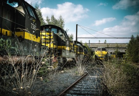 train graveyard - tracks, trains, weeds, old