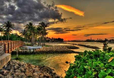 Sunset - a bridge, lake, palm trees, sunset