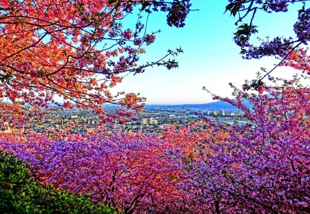 CITY VIEW - HDR, distant, spring, colors, city