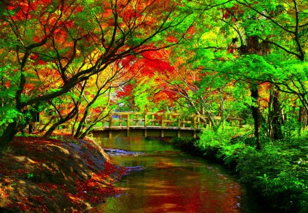 PARK BRIDGE - colors, nature, park, bridgemautumn