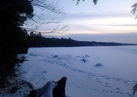 ~~; Anstruthers Blues ;~~ - winter, sunset, anstruthers lake, blue