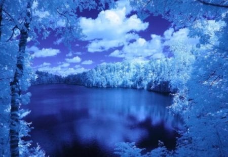 Blue Night Lake - clouds, abstract, trees, water, blue, night, forest, reflection, white, nature, lake, sky