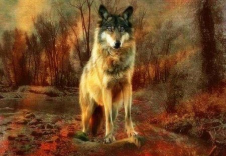 Autumn Wolf - wolf, autumn, abstract, animals, fantasy