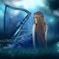 Midnight Harp