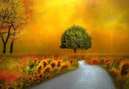 Sunflowers street - street, sunflowers, autumn, trees, field, path, road, fantasy, yellow, tree, colors, digital