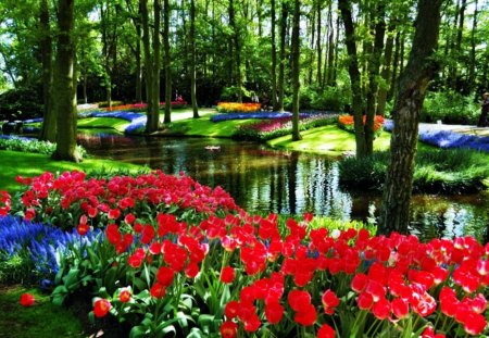 Flowers in Spring - hyacinths, trees, water, tulips, park