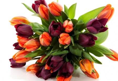 Tulip Bouquet - purple, tulips, beautiful, flowers, spring, orange, floral