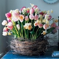 Lovely Easter Flowers