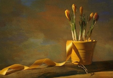 crocuses - flowers, yellow, still life, crocuses