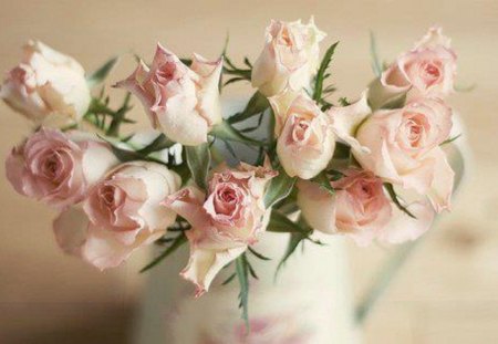 ♥ beautiful ♥ - flowers, still life, beautiful, pink roses