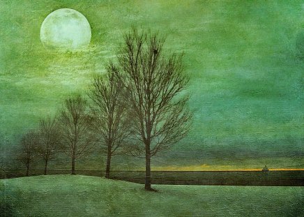 Lake shore in moonlight - snow, moon, trees, lakeshore