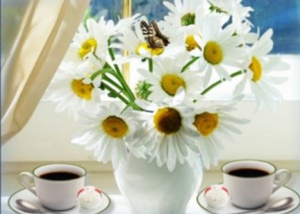 Good Morning - daisies, vase, window, coffee