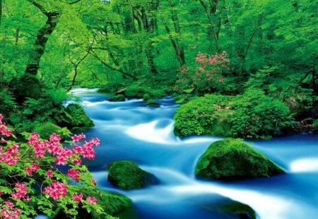 Forest flow - summer, forest, creek, beautiful, quiet, river, nature, stream, flow, tranquility, greenery, pretty, flowers, spring, floating, serenity, shore, calmness, nice, lovely, woods, riverbank, green