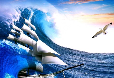 SAILING on ROUGH SEA - Seagull, Sailing, ship, sea, Wave, rough