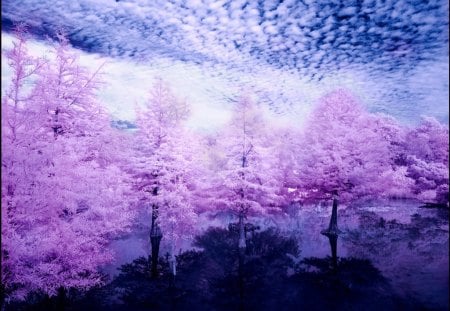 âœ°Amazing Lakeâœ° - sky, trees, photography, colorful, wonderful, lakes, reflections, amazing, fabulous, view, cool, clouds, grasses, splendid, surreal, landscapes, germany, magnificent, scenic, incredible, peace, silent, arboretum, lovely, plants, nature, infrared, beautiful, leaves, scenery, splendor, colors