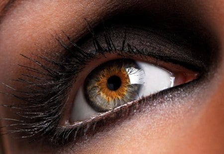 beautiful eye - wallpaper, brown, closeup, eye