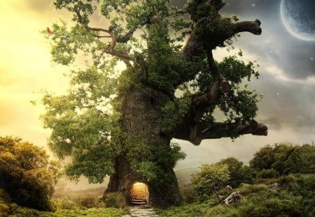 Treehouse - fantasy, light, treehouse, tree