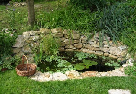 Green Pond - pond, water, garen, grass