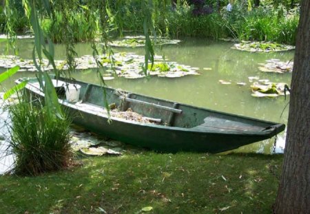 Boat - water, garden, pond, boat