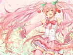 ~Sakura Miku~