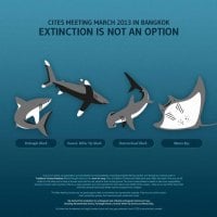 extinction is not an option