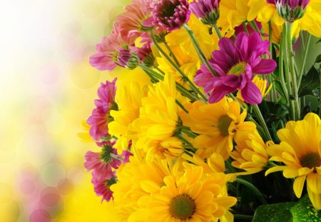 Yellow Flowers - flowers, yellow, pink, nice