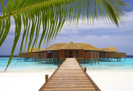 The Ocean - homes, beach, pier, the ocean