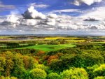 beautiful view of fields to the sea hdr