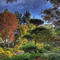 beautiful garden hdr