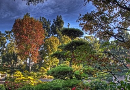 beautiful garden hdr - bridges, trees, pond, garden, hdr